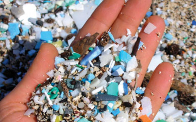 Small plastic pieces which fish see as food