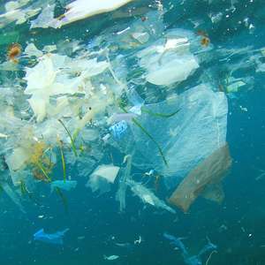 Plastic in the oceans