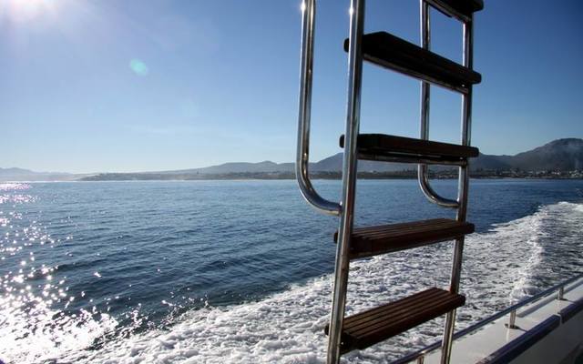 34584549_2038351569517318_2365896697940279296_n_1529048306