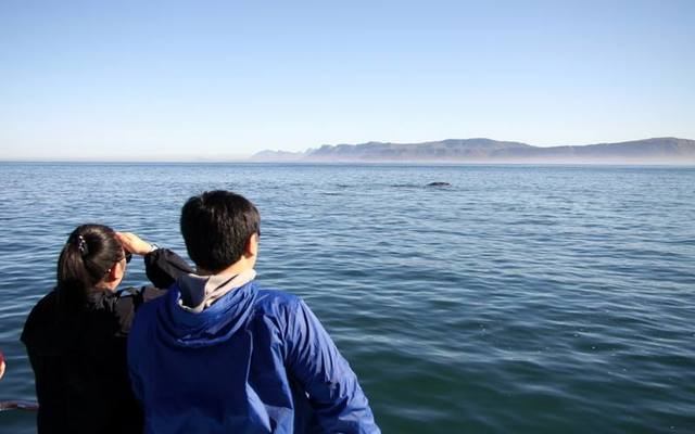 34713698_2038351536183988_405799969098825728_n_1529048305