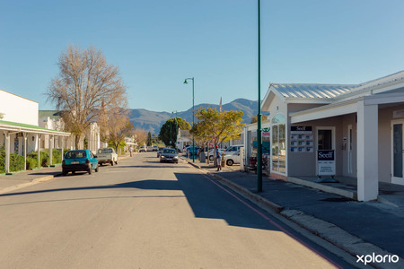 Seeff_Stanford_mornings_1529327831