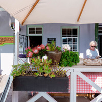 Stanford street markets