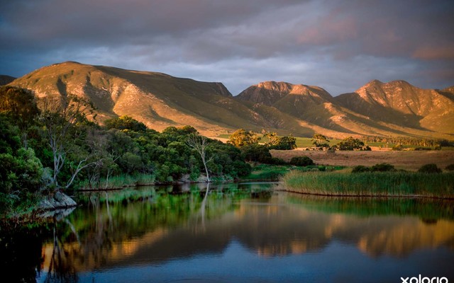 Lady_stanford_view_1519734756_1529994950