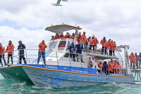 Dream_Catcher_1530166155