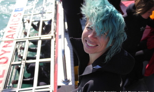 Daily Blog 28 June 2018: Shark Diving Gansbaai