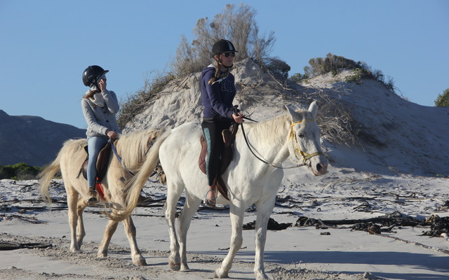 #pearlybeachhorsetrails ©