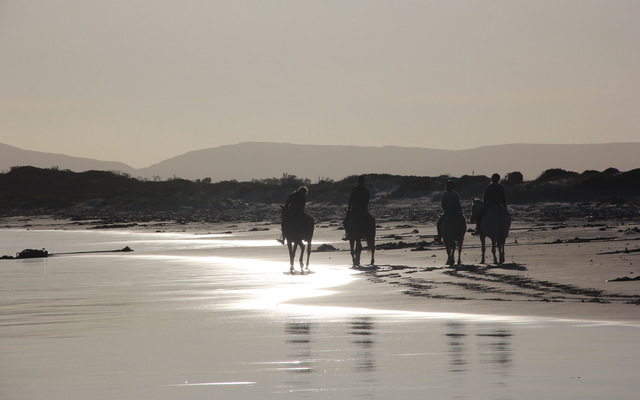 #pearlybeachhorsetrails ©