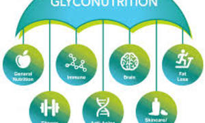 Gansbaai Book Exchange Presents Glyconutrients