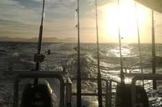 WhatsApp_Image_2018_07_03_at_19.16.23_1531209136