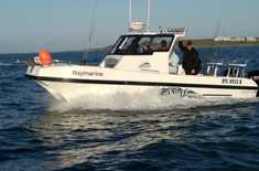 WhatsApp_Image_2018_07_03_at_19.16.23_1__1531209147