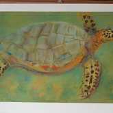 New pastel work at Bird Moon Gallery Stanford