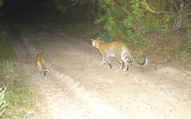 I_00023_2__1531399500