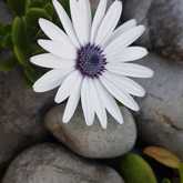 Hiking around Gansbaai