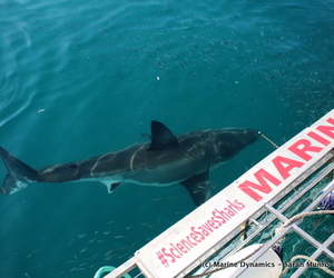 Daily Blog 17 July 2018