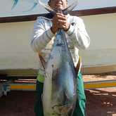 Yellowfin Tuna