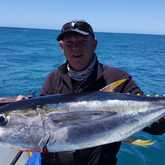 Yellowfin Tuna