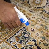 Spraying carpet