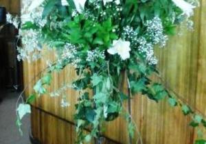 Kerkdienste: Sondag 29 Julie 2018