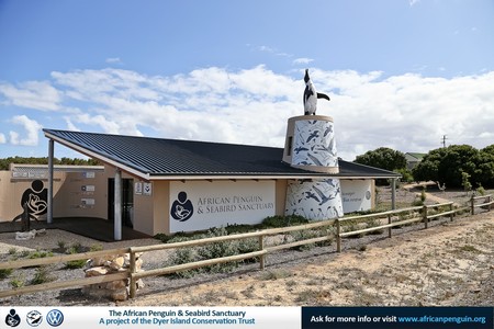 2016_80_web_1532589358