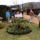 Barrydale Botanical Bash 2014