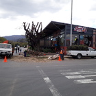 Robertson Spur, trimming high risk trees Robertson Spur, trimming high risk trees