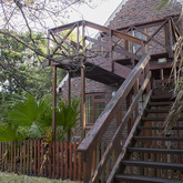 Forest house exterior view