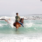 #Gansbaai & Pearly Beach Horse Trails