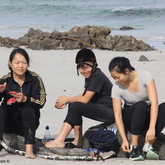 #Gansbaai & Pearly Beach Horse Trails