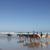 #Gansbaai & Pearly Beach Horse Trails
