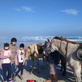 #Gansbaai & Pearly Beach Horse Trails