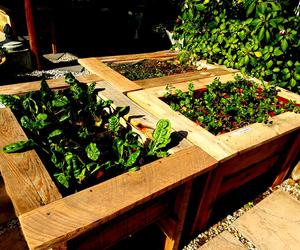 New additions to the garden