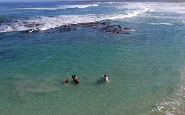 #Gansbaai & Pearly Beach Horse Trails