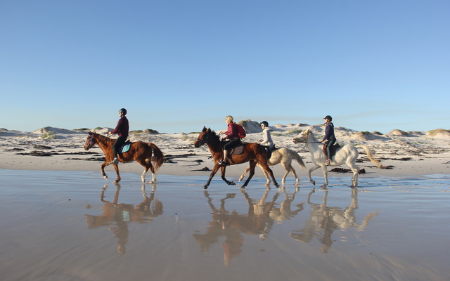 #Gansbaai & Pearly Beach Horse Trails