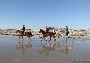 Winter... what Winter?!