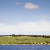  Lomond Vineyards-Taken by Gabfly Media