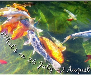 What's on 26 July - 2 August