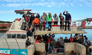 Daily Blog 15 August 2018 