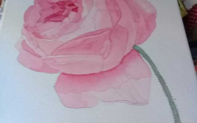 WhatsApp_Image_2018_08_16_at_12.01.10_1534485560 WhatsApp_Image_2018_08_16_at_12.01.10_1534485560