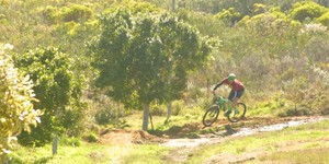 IMG_9364_1534515533