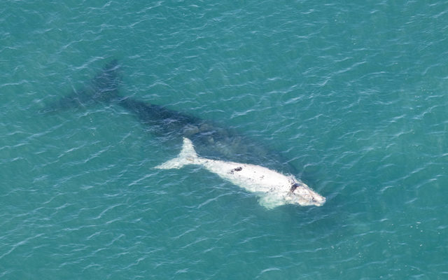 DSC_6270_edit_PR_1080x675_1534939241