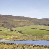 Lomond Vineyards-Taken by Gabfly Media