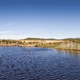 The Dam-Taken by Gabfly Media