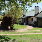 Golden Delicious Golden Delicious