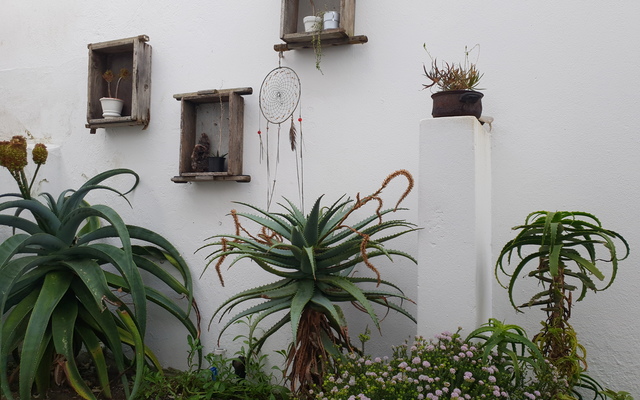 20180810_124508_1535439497