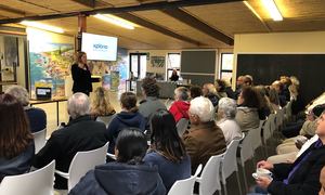 Betty's Bay is Booming!