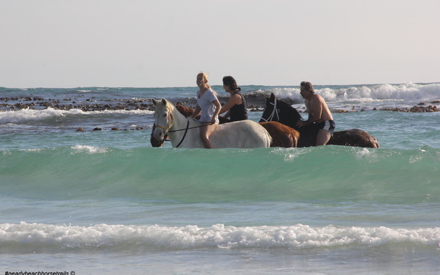 #gansbaai & pearly beach horse trails