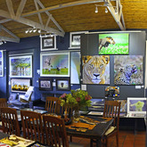 General image of  the Gallery 2