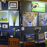 General Image of Gallery 3