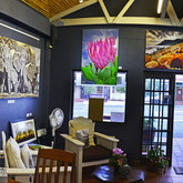 General image of the gallery 4