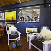 General image of the gallery 5